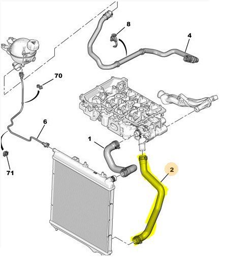 Motor Radyatörü Alt Su Hortumu