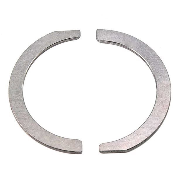 Gezi Ayı / Grank Ayı