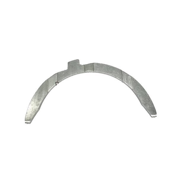 Gezi Ayı / Grank Ayı