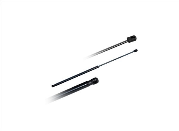 Bagaj Kapak Amortisörü