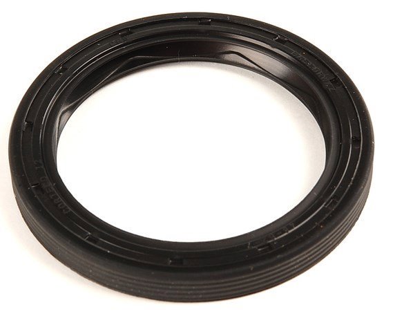 Şanzıman Prizdirek Keçesi