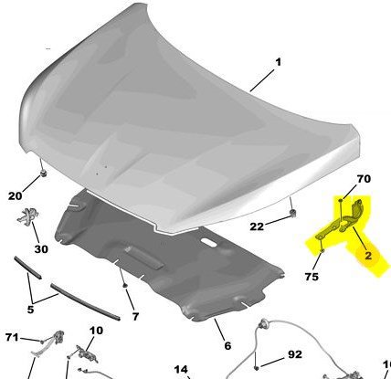 Ön Sol Kaput Menteşesi