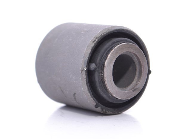 Dingil Torsiyon Borcu