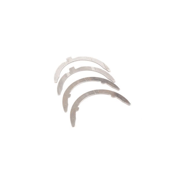 Gezi Ayı / Grank Ayı