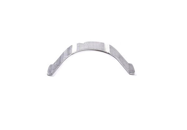 Gezi Ayı / Grank Ayı