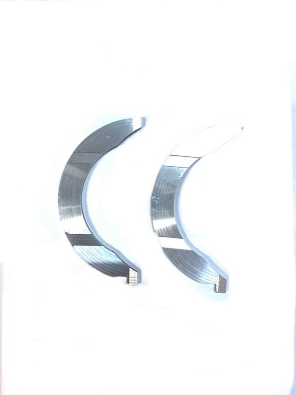 Gezi Ayı / Grank Ayı