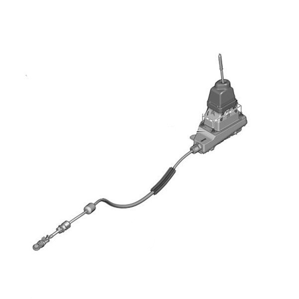 Vites Teli / Halatı