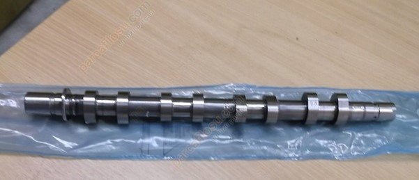 Eksantrik Mili Egzoz