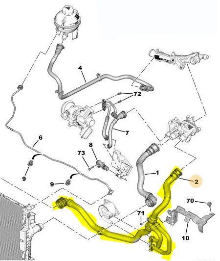 Motor Radyatörü Alt Su Hortumu