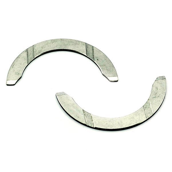 Gezi Ayı / Grank Ayı