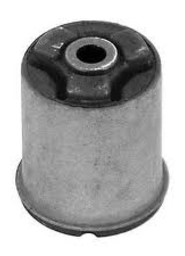 Dingil Torsiyon Borcu