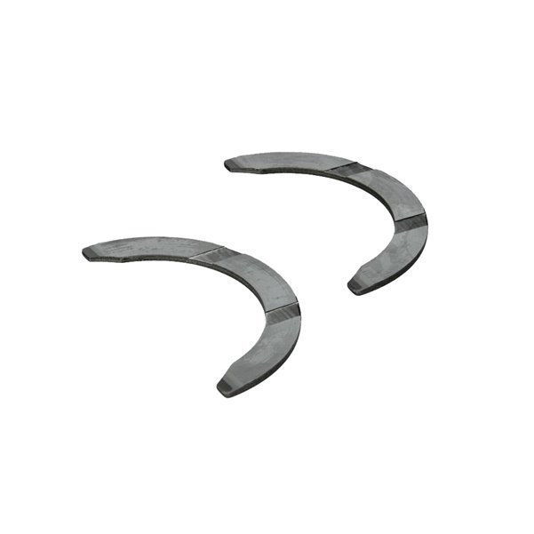 Gezi Ayı / Grank Ayı