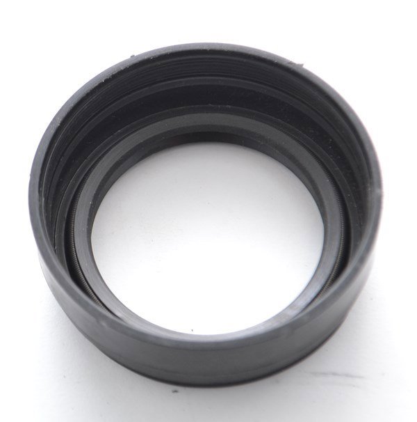 Dingil Torsiyon Keçe