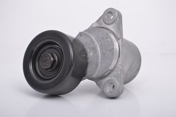 Hyundai Santa Fe 2000-2006  Gmb Alternatör Gergisi Komple GAT10050