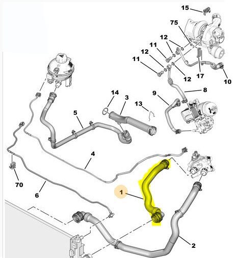 Motor Radyatörü Üst Su Hortumu