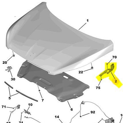 Ön Sağ Kaput Menteşesi