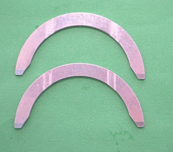 Gezi Ayı / Grank Ayı