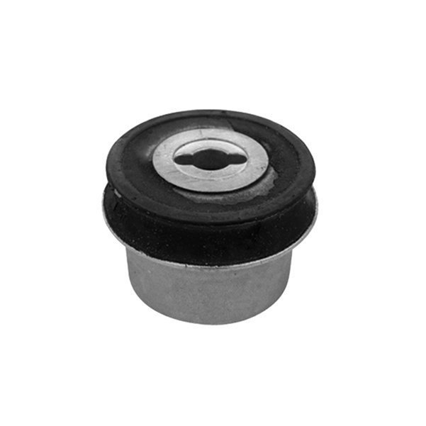 Dingil Torsiyon Borcu