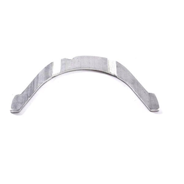 Gezi Ayı / Grank Ayı