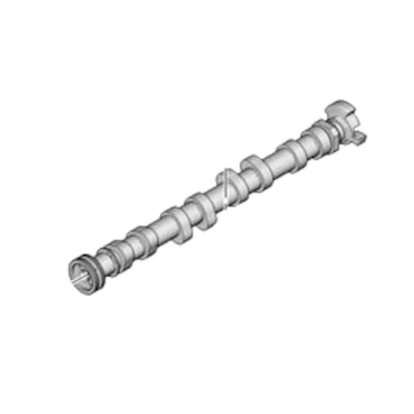 Eksantrik Mili Egzoz