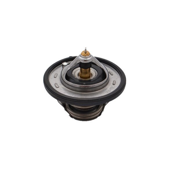 Nissan Juke 2014-2018  Orjinal, Termostat 255002B000