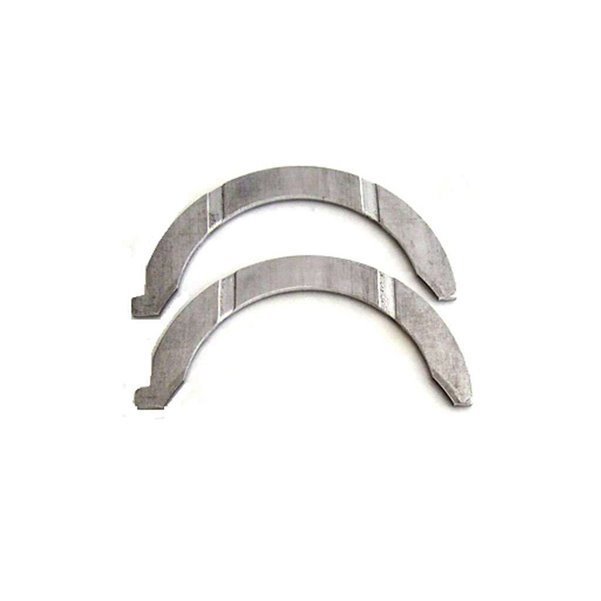 Gezi Ayı / Grank Ayı