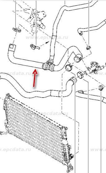 Motor Radyatörü Alt Su Hortumu