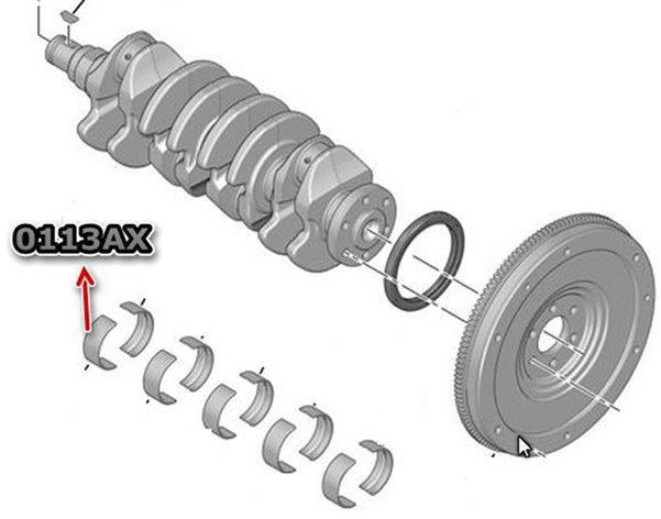 Peugeot Expert 2017-2020  Sahin Ana Yatak 5256STD