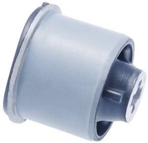 Dingil Torsiyon Borcu