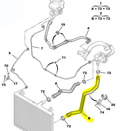 Motor Radyatörü Alt Su Hortumu