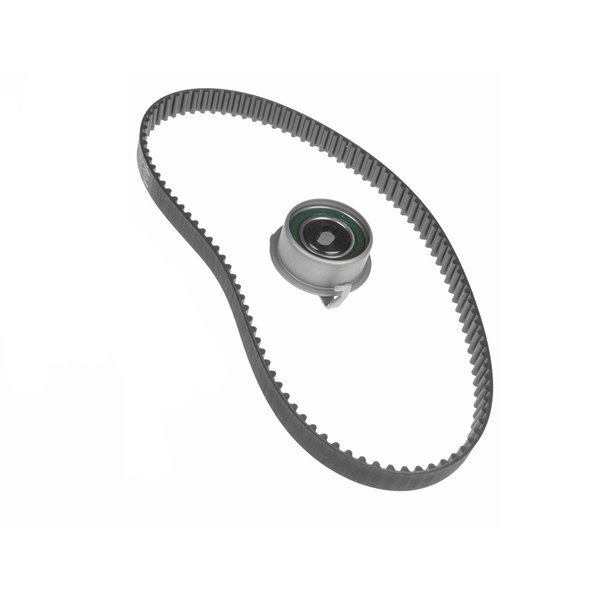 Skf Triger Kayişi VKMA95641