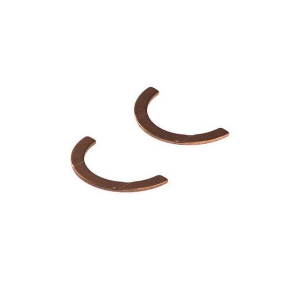 Gezi Ayı / Grank Ayı