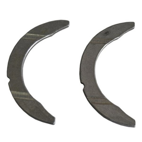 Gezi Ayı / Grank Ayı