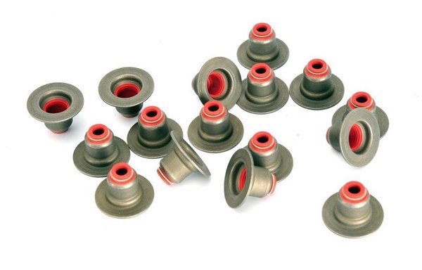 Peugeot 607 2000-2004  Orjinal Subap Lastiği 095645