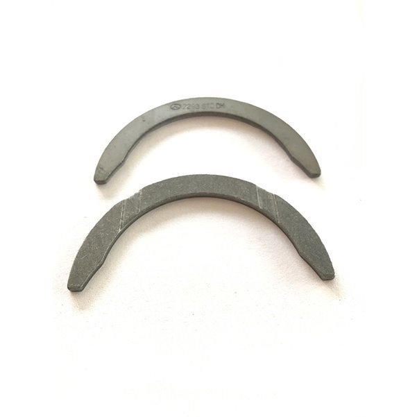 Gezi Ayı / Grank Ayı