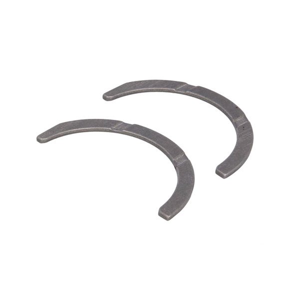 Gezi Ayı / Grank Ayı