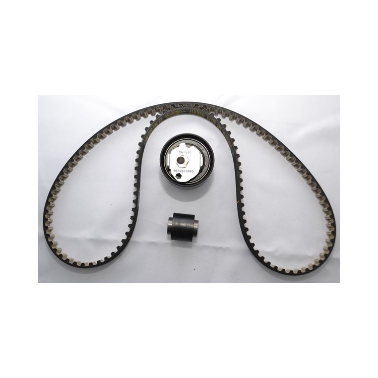 Peugeot 2008 2019-2022  Eurorepar Triger Seti 1686354380