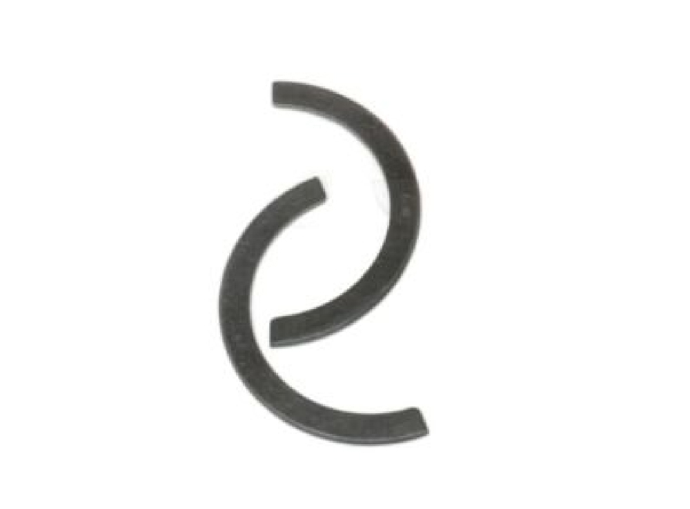 Gezi Ayı / Grank Ayı