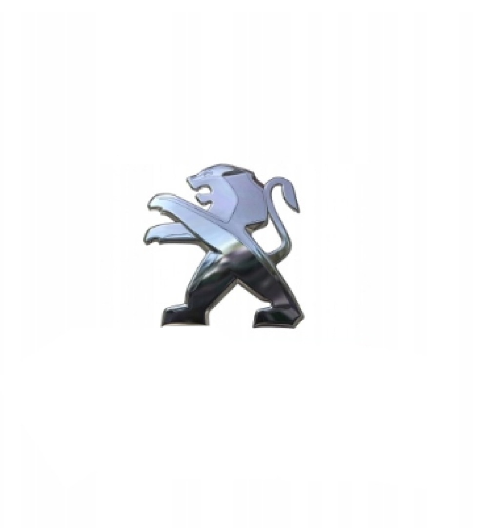 Bagaj Kapağı Yazı / Arma