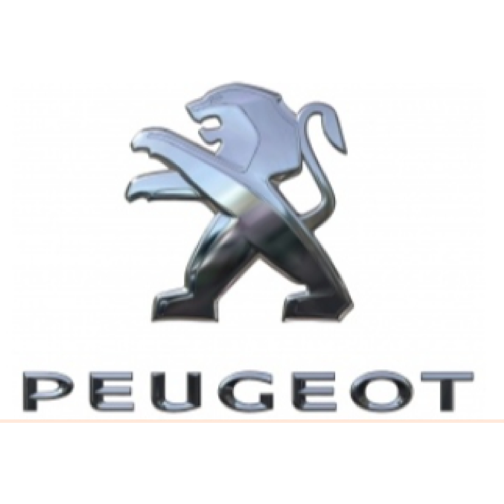 Bagaj Kapağı Yazı / Arma