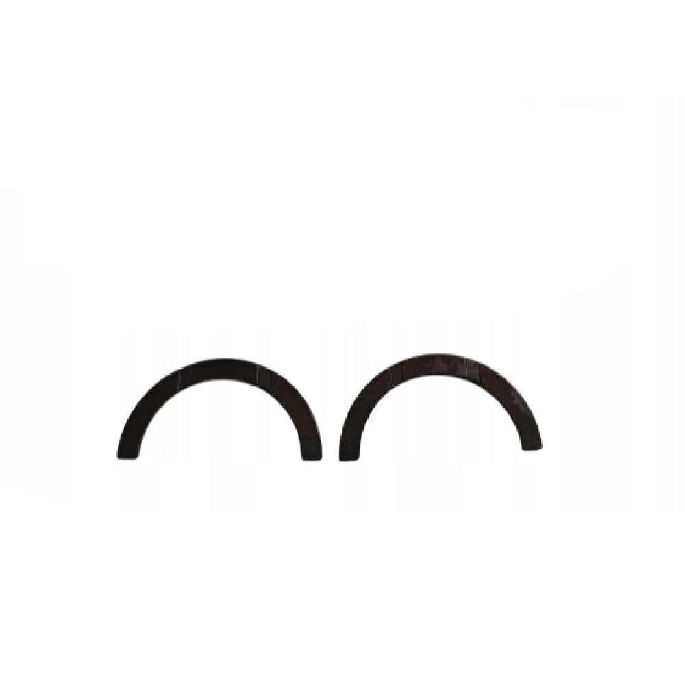 Gezi Ayı / Grank Ayı