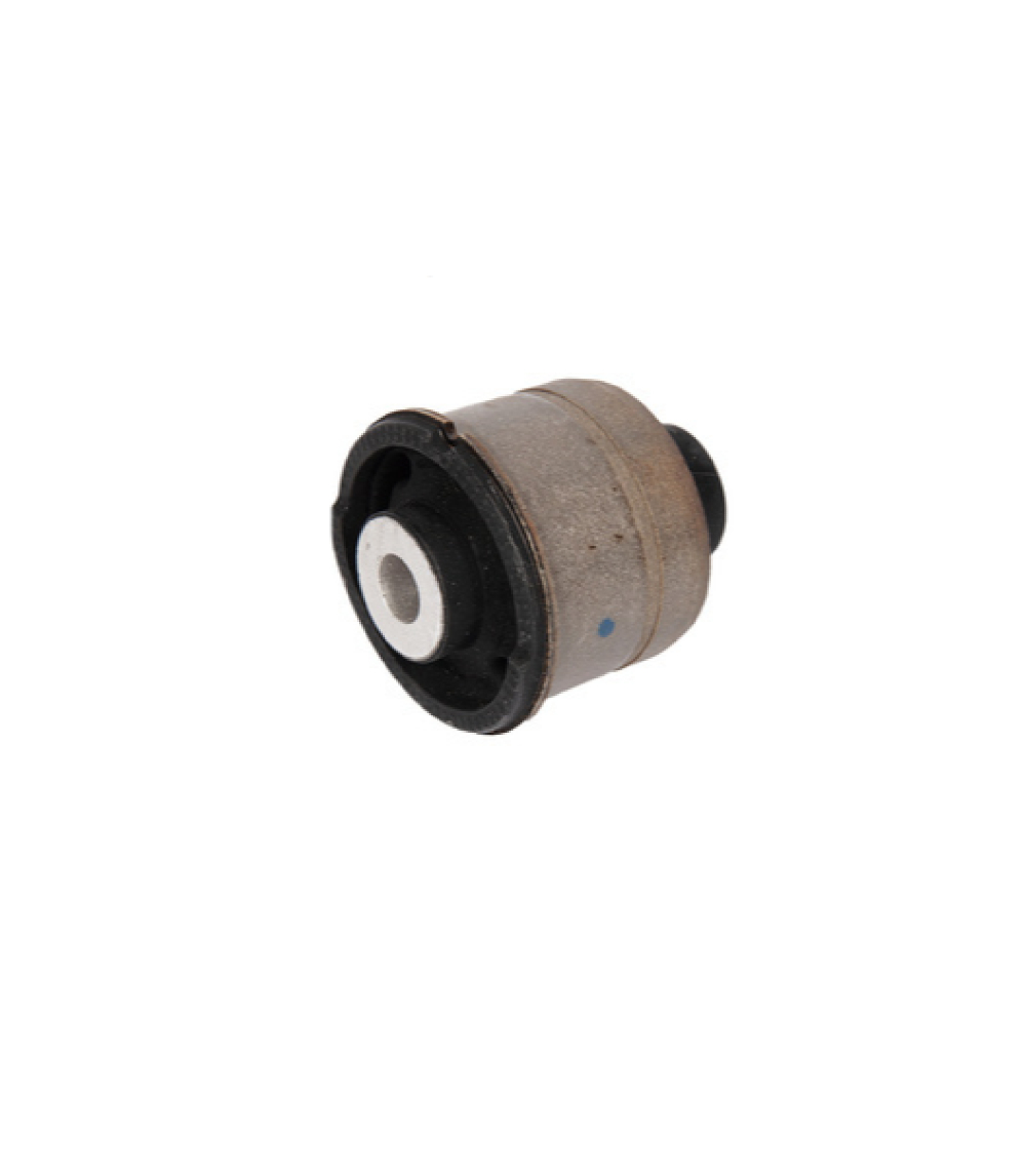 Dingil Torsiyon Borcu