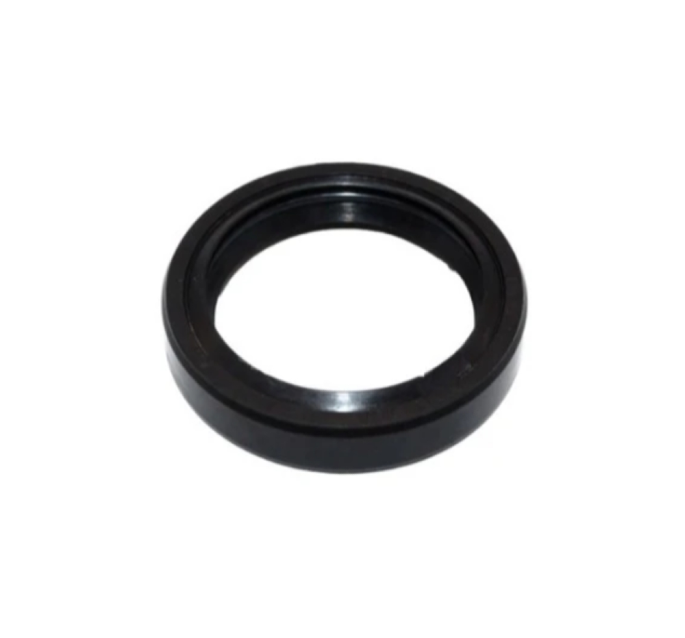 Şanzıman Prizdirek Keçesi