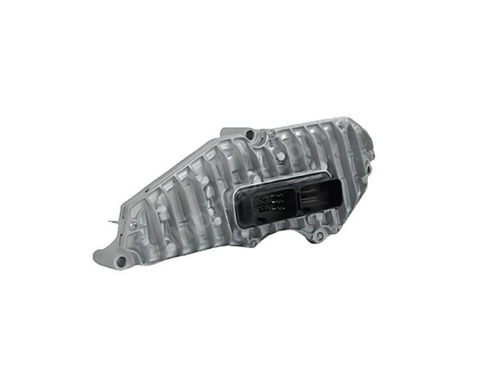 Beyin Kutusu / Yuvası