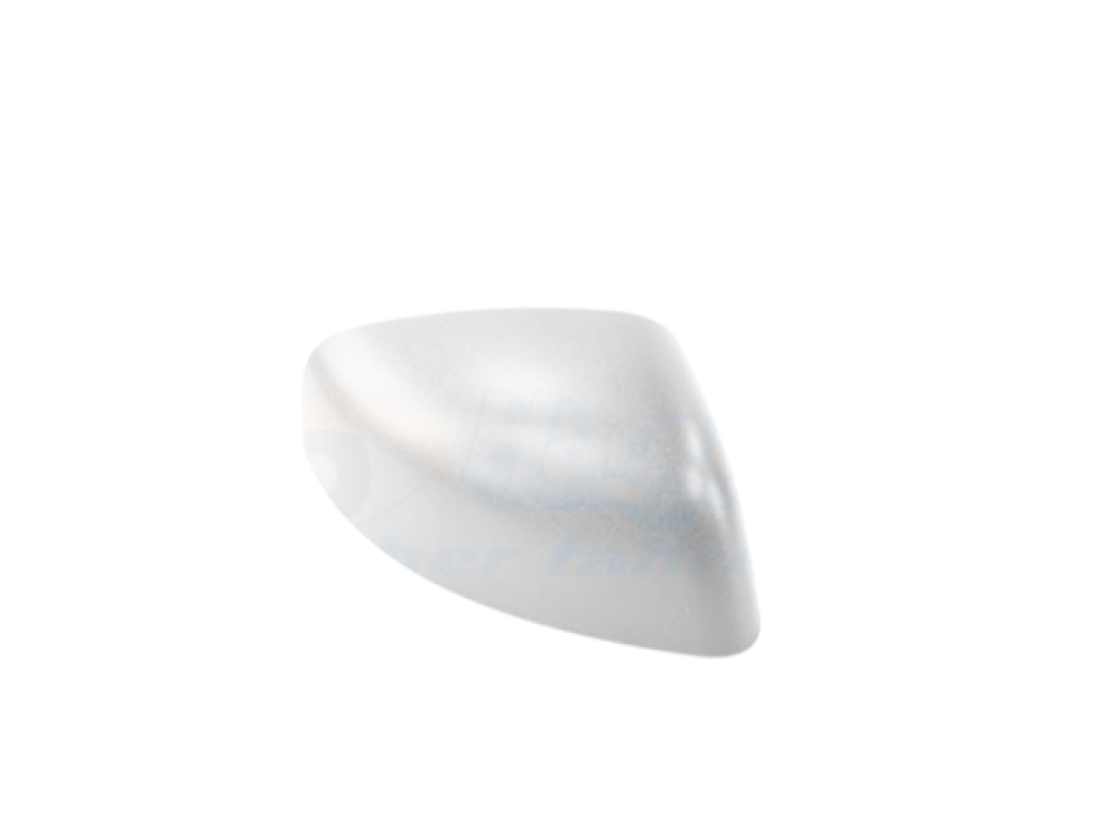 Sağ Kapı Ayna Kapağı